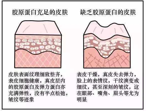 一篇大實(shí)話丨讀懂年輕五歲，速來圍觀